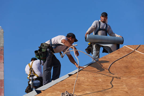Best New Roof Installation  in Mcgehee, AR